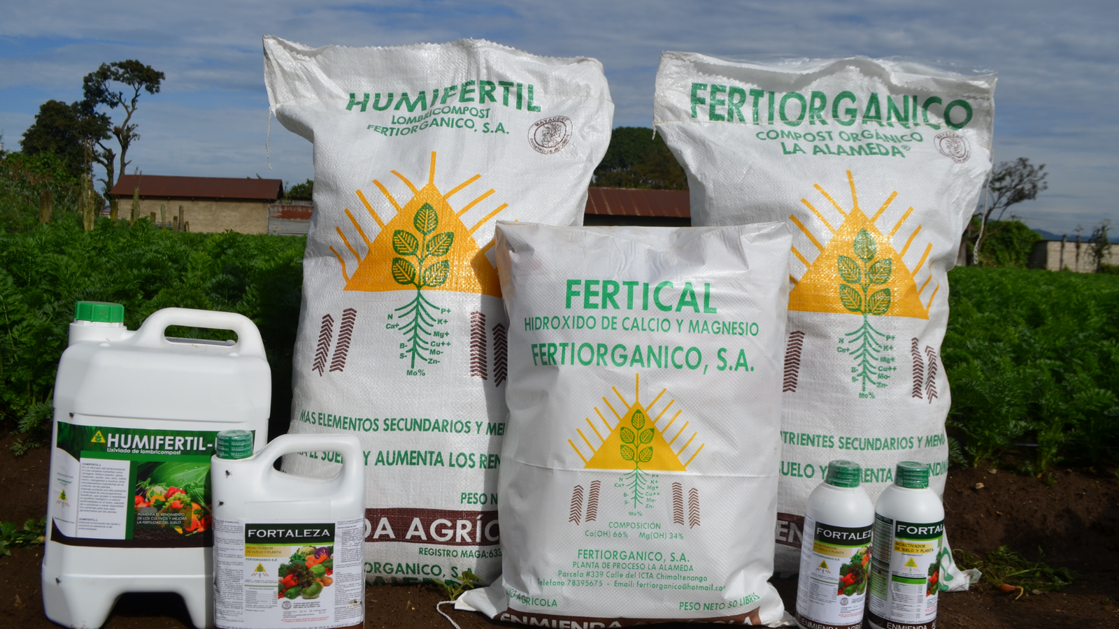 Cultivo saludable con productos Fertiorganico
