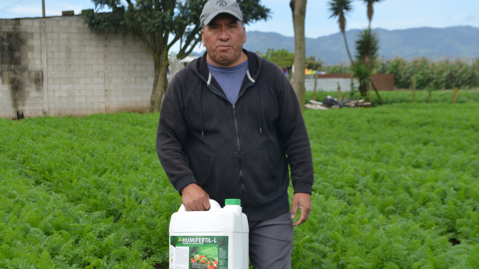 Uso de Humifertil-L en producción agrícola