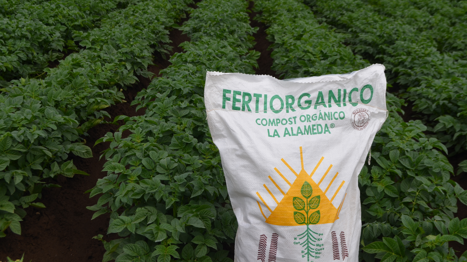 Fertilización sostenible para el futuro del agro