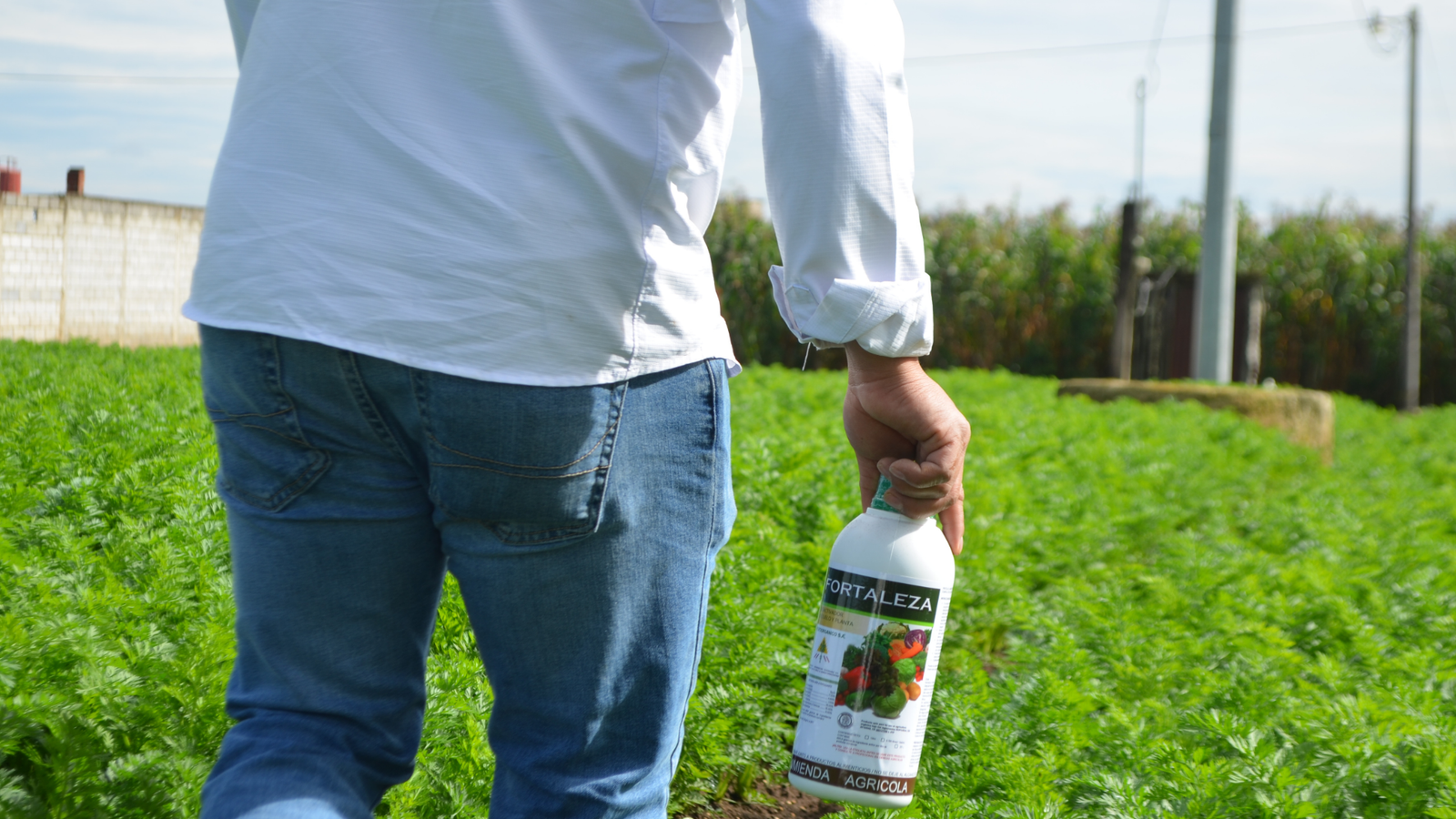 Servicio agrícola en campo 10